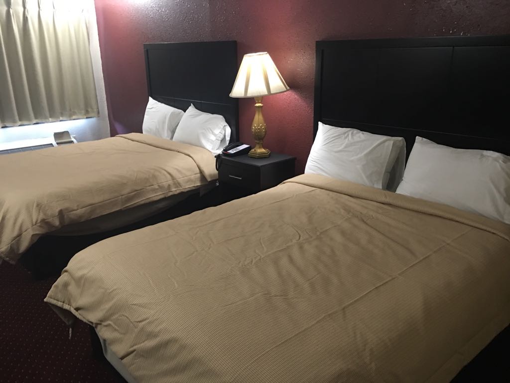 Double BedGuest Room